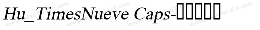 Hu_TimesNueve Caps字体转换